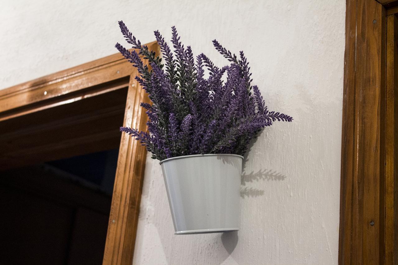 Kuca Lavanda Dreznjak Extérieur photo