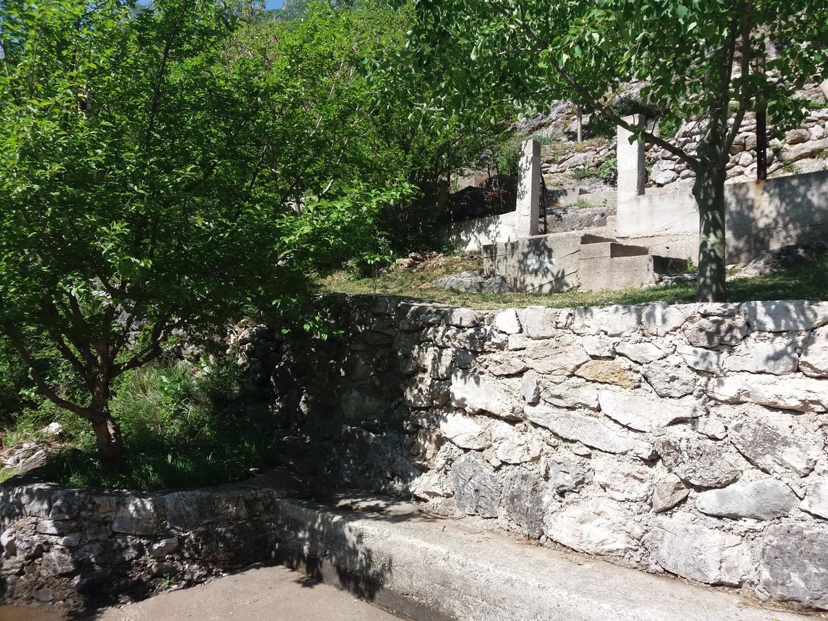 Kuca Lavanda Dreznjak Extérieur photo