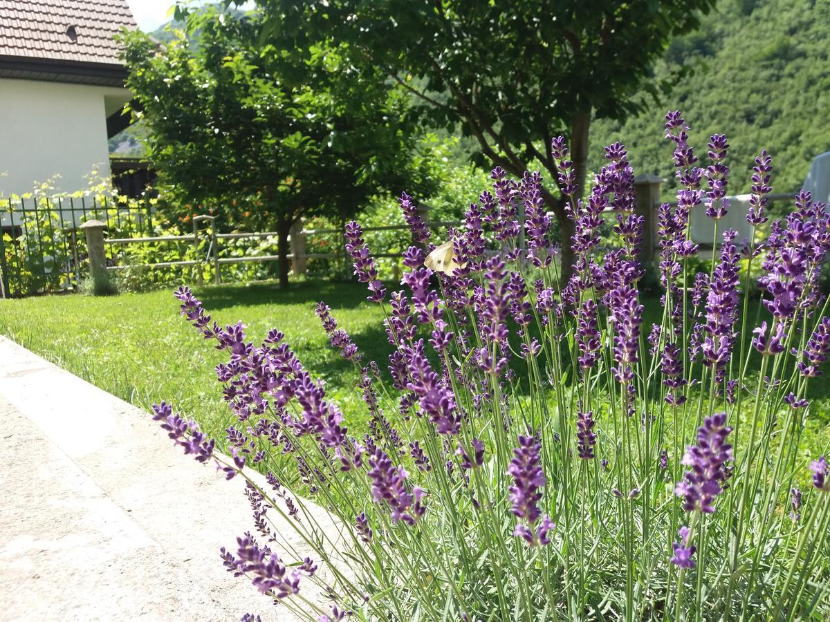 Kuca Lavanda Dreznjak Extérieur photo